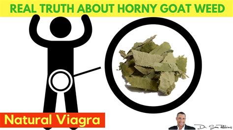 Illinois man claims to sell 'horny goat weed' - but it's just a Viagra-like drug
